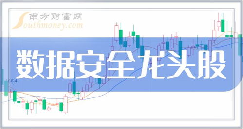 數(shù)據(jù)安全四大龍頭股 網(wǎng)絡與信息安全軟件開發(fā)企業(yè)盤點